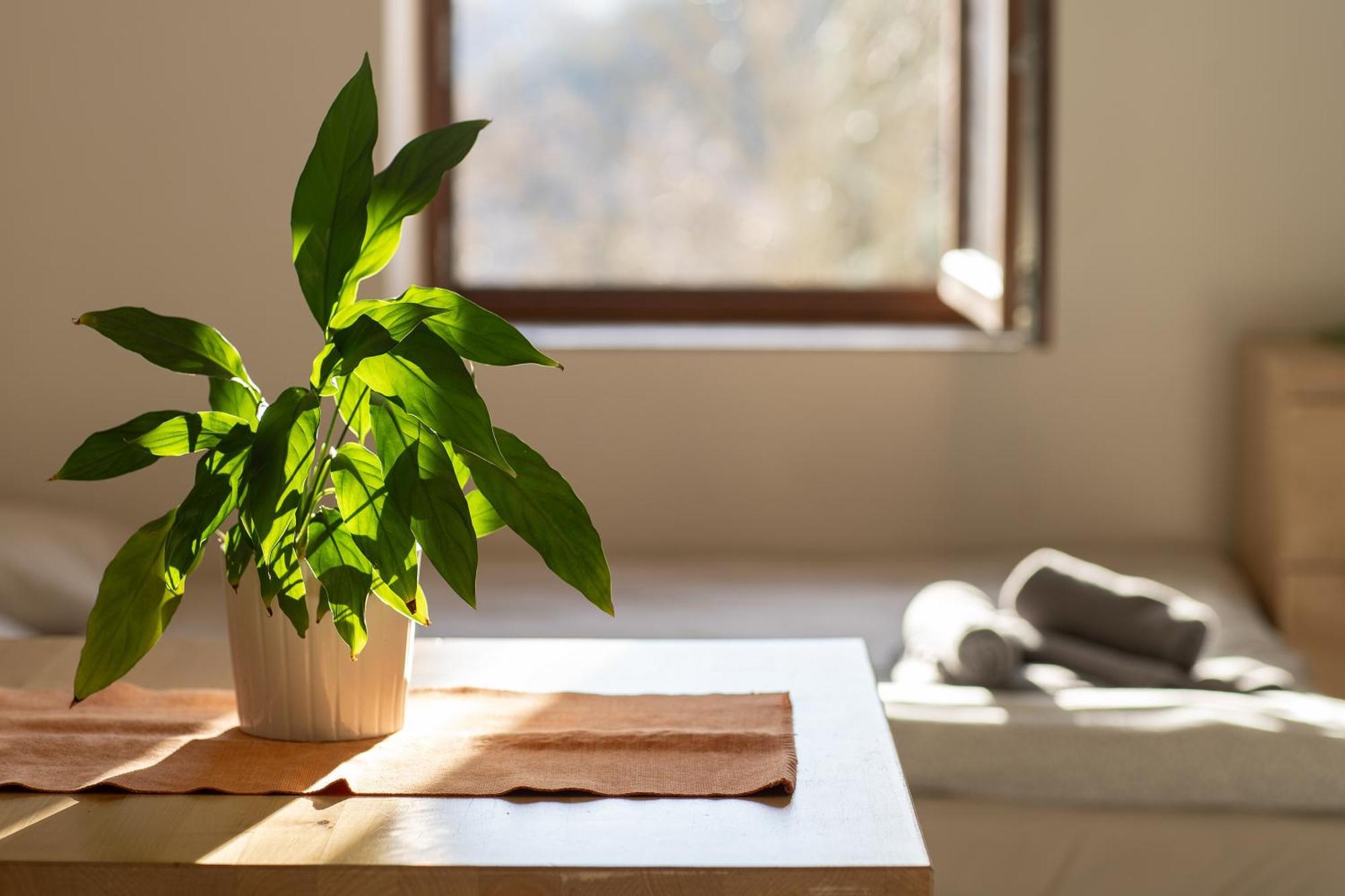 Apartmany Pro Rodiny S Detmi - Permonik Dolní Malá Úpa Esterno foto